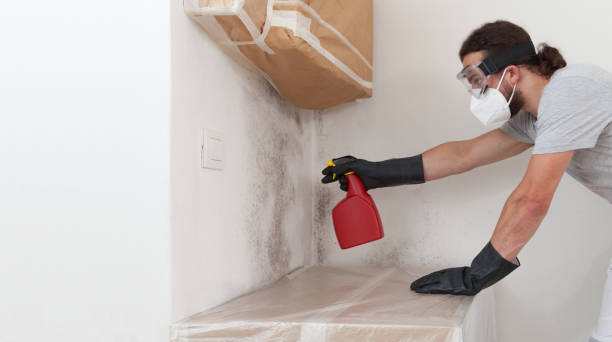 Professional Mold Testing technician working in Prides Crossing, MA